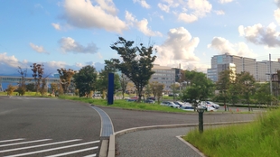 博多どんたく２０１９年九州大学パレード 哔哩哔哩 つロ干杯 Bilibili