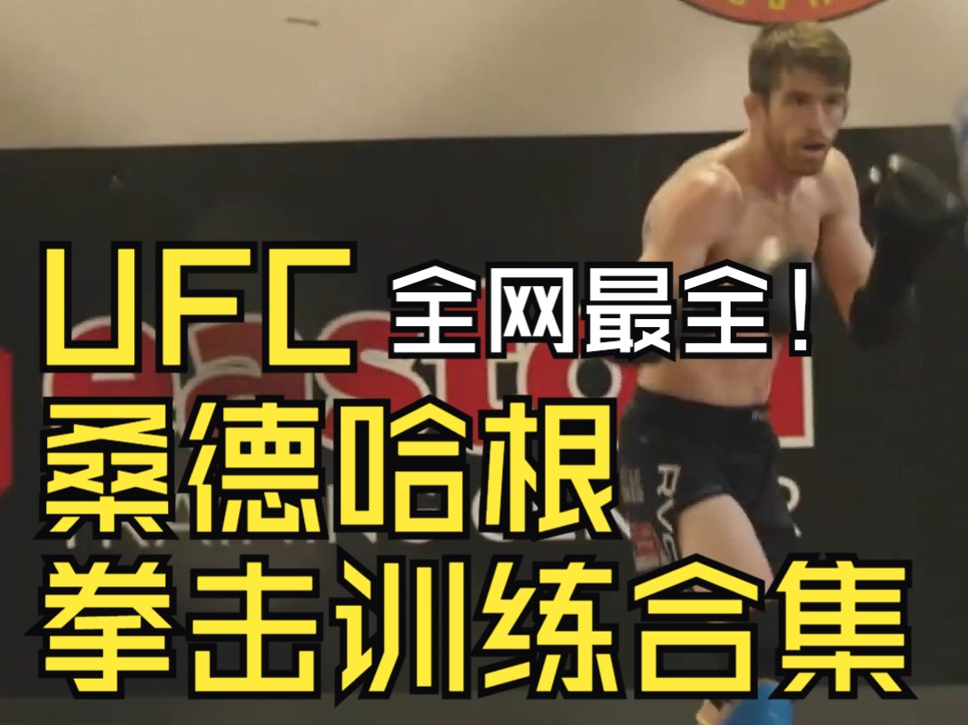 全网最全!UFC桑德哈根拳击训练合集 Sandhagen哔哩哔哩bilibili