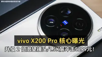 Download Video: vivo X200 Pro 核心曝光、升级 2 亿潜望镜头/1.5K屏冲击5299元！