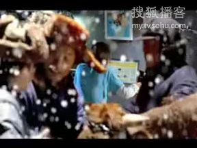 【中国大陆广告】2009搜狐网哔哩哔哩bilibili