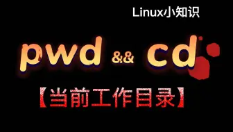 Linux工作目录：你能说清楚视频最后的迷惑操作吗？