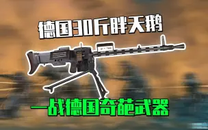 下载视频: 一战奇葩武器#2 德国30斤胖天鹅—泥鸦MG15NA轻机关枪