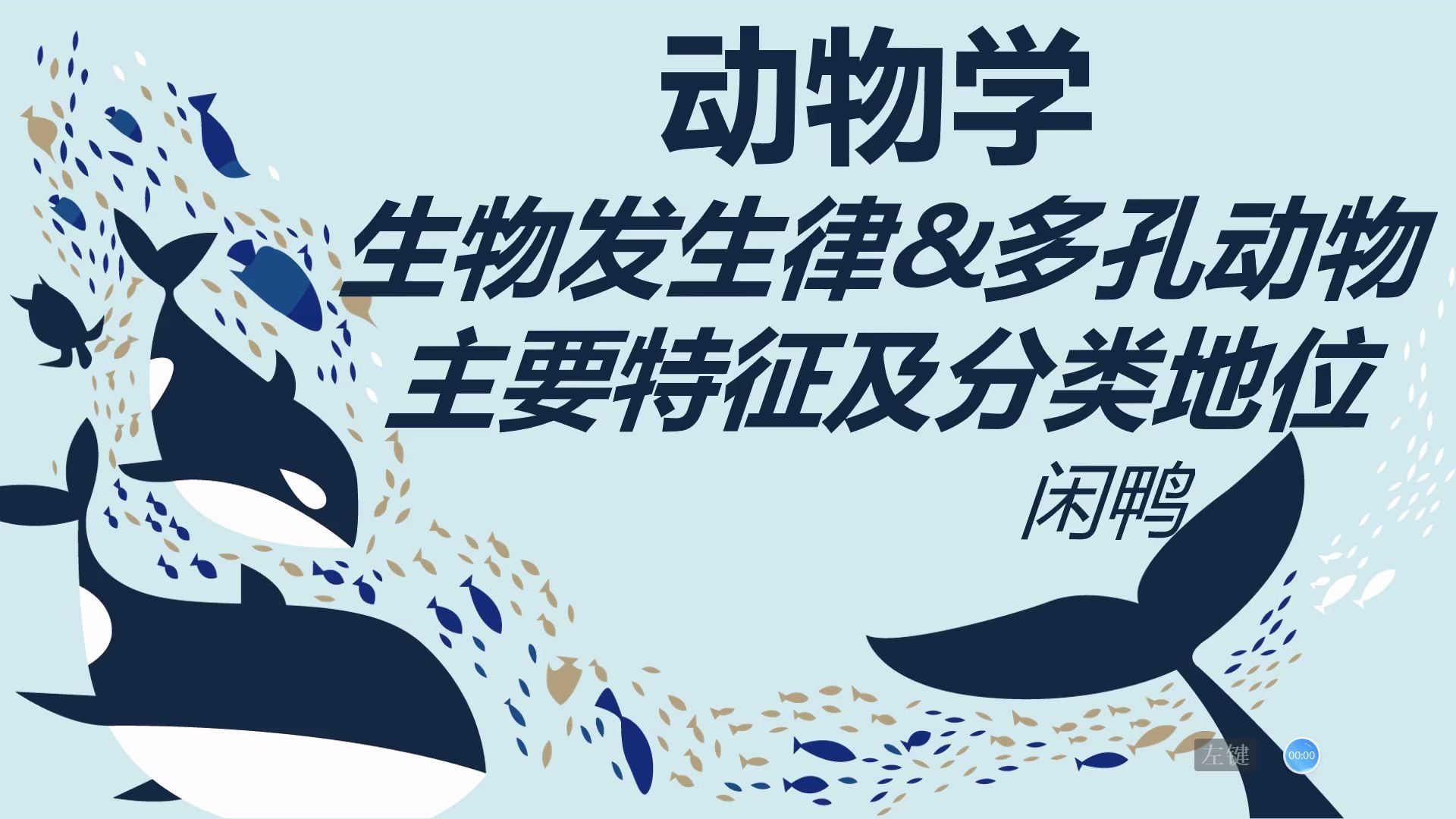 动物学3.2生物发生律+4.1多孔动物主要特征+4.2多孔动物分类地位哔哩哔哩bilibili