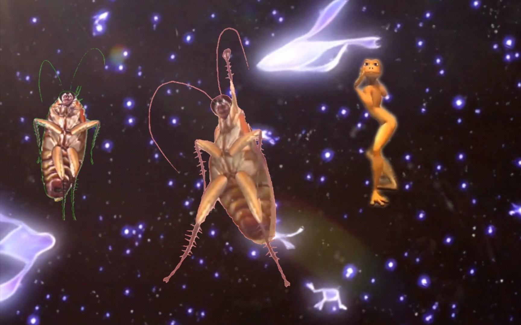 【神奇发现】蟑螂跳舞:苗条到无法想象!