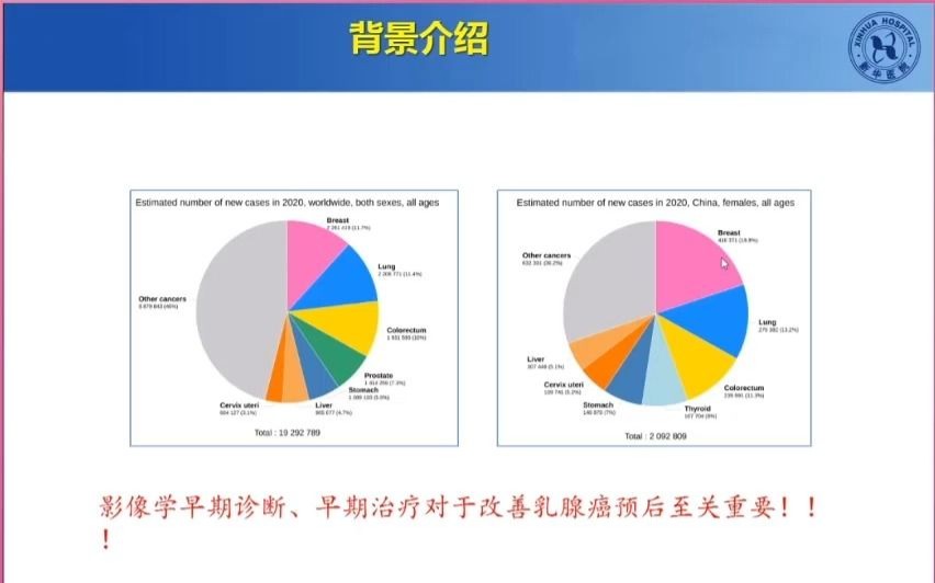 乳腺BIRADS 非肿块强化(新华医院 汪教授)哔哩哔哩bilibili