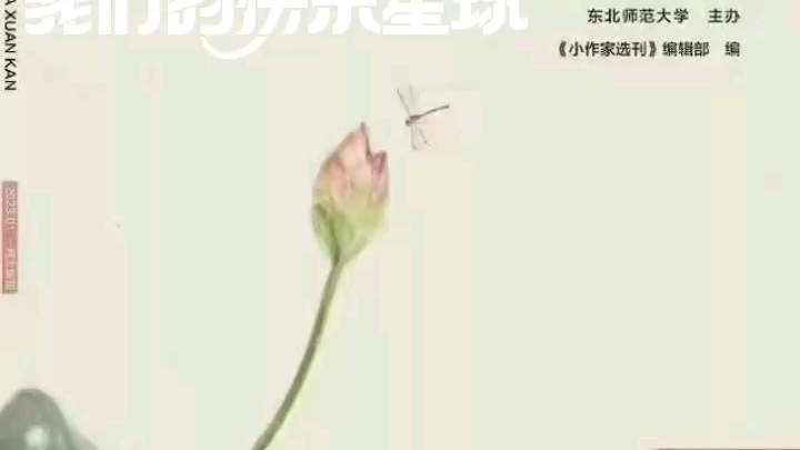 [图]《小作家选刊》省级期刊，维普网收录6000字符起发，23年2月版面收语文教育教学稿件，可全包