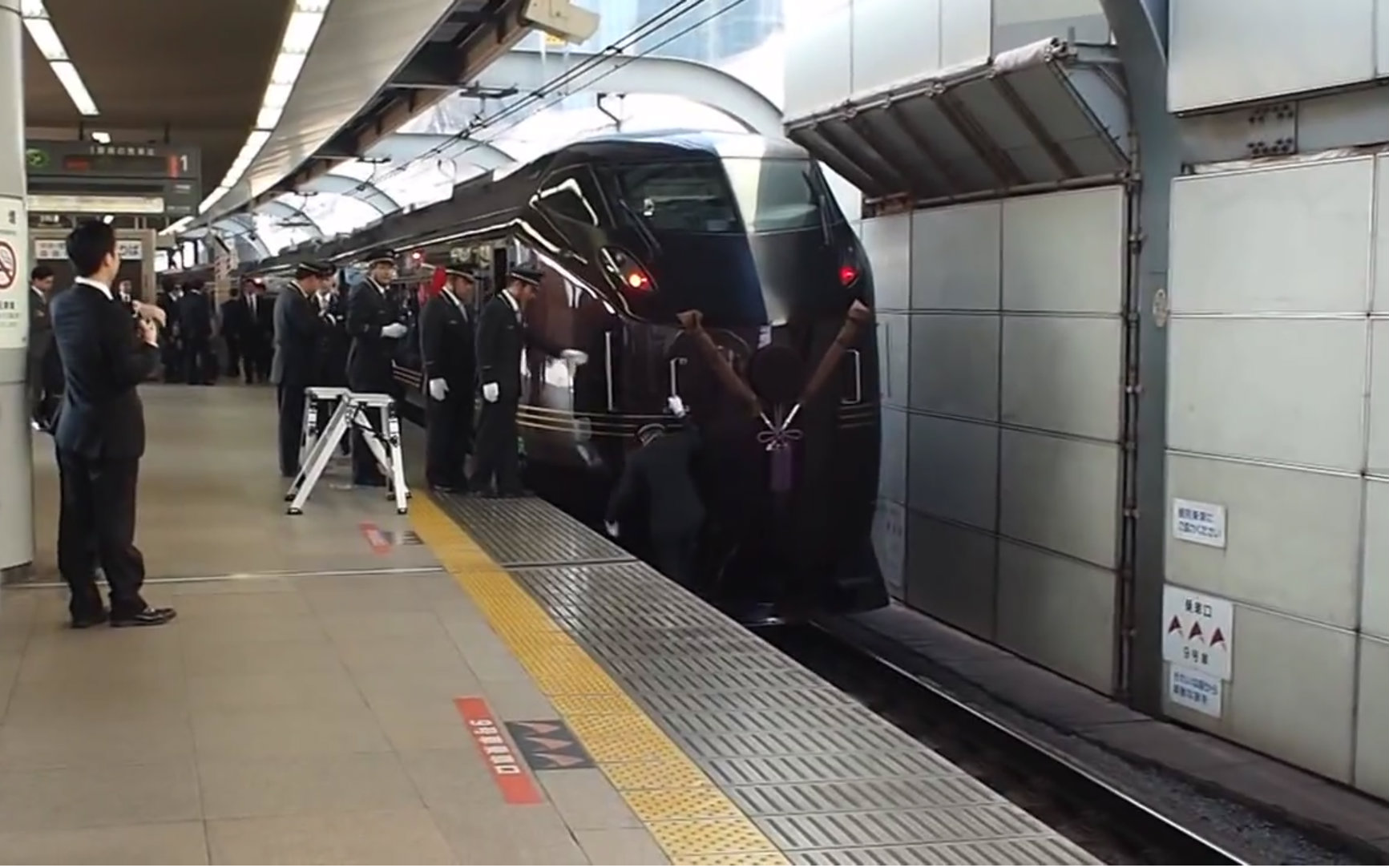 【団体専用列車】e655系 召列車 東京駅 旗開 皇太子殿下 恩賜林御下