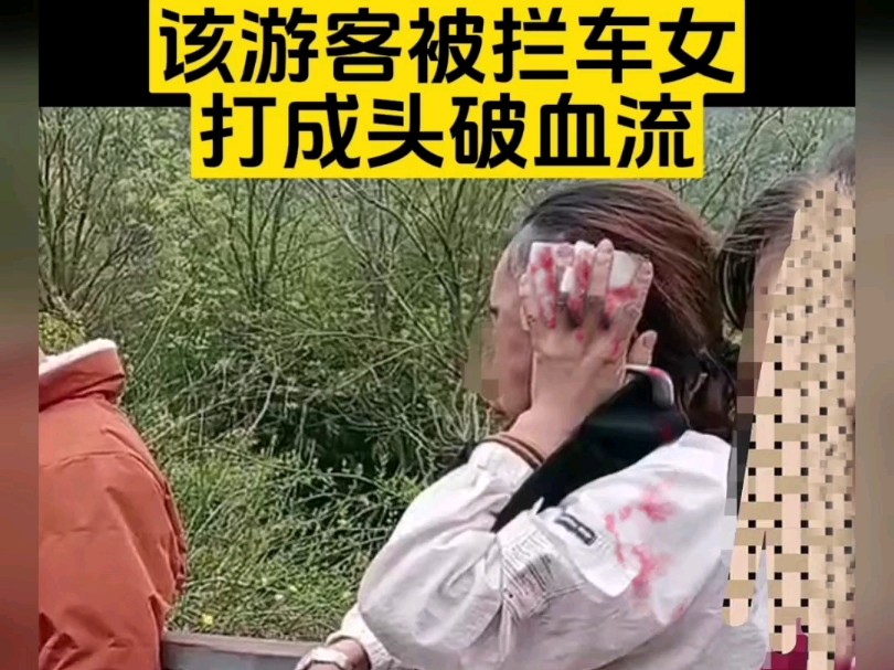 拦车女鞠躬女主播打游客的后果:在神树坪小奇迹外场的游客走道上,将白衣女游客打成的结果是:游客头部鲜血淋漓,据网络爆出头上有三处不低于1厘米...