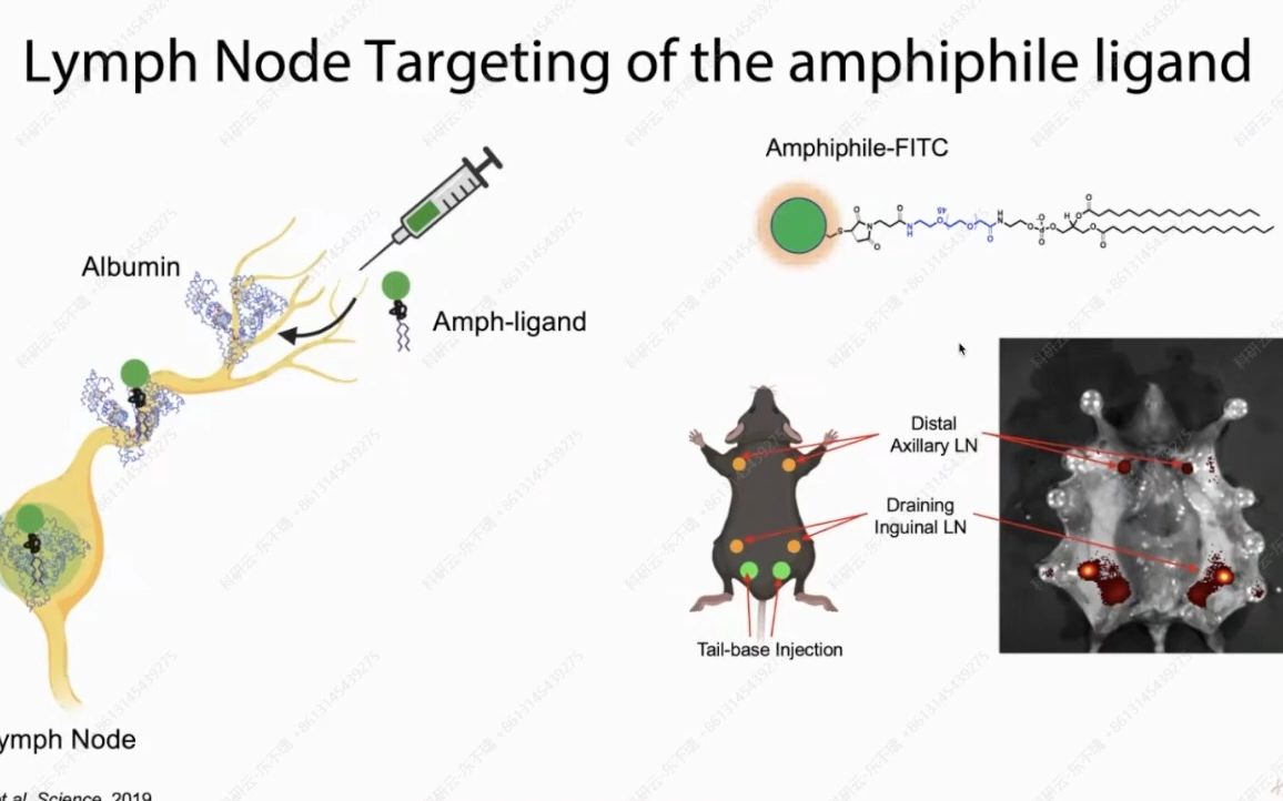 20230530宾夕法尼亚大学马乐园Engineering Enhanced Chimeric Antigen Receptor T Cell Therapy哔哩哔哩bilibili