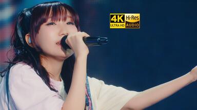 Ayase / Davinci】The Bloom_哔哩哔哩_bilibili