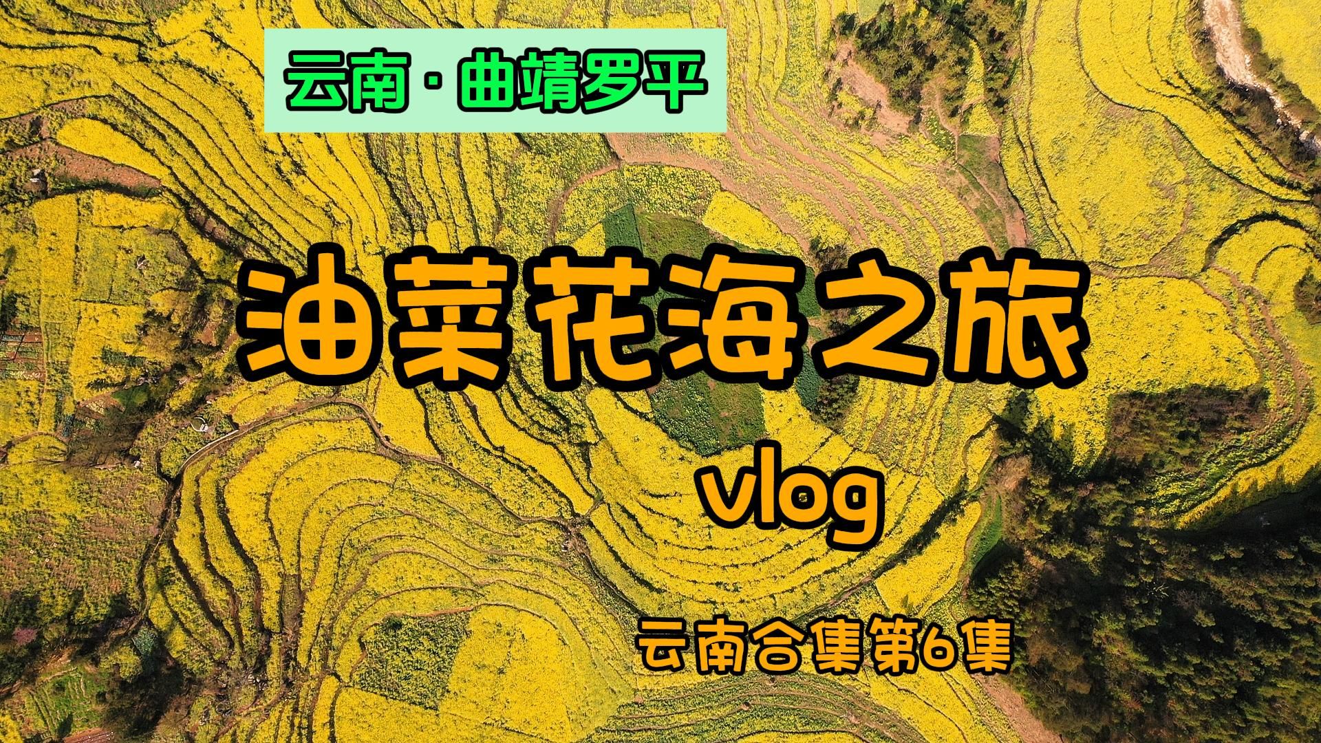 曲靖罗平县我的油菜花之旅——云南合集第6集哔哩哔哩bilibili