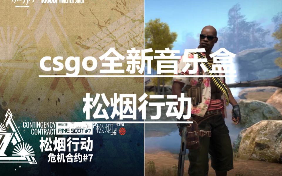 [图]【CSGO】音乐盒（StatTrak™）| 松烟行动 |塞壬唱片-MSR,Life Awaits - Operation Pine Soot