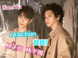 Download Video: SamYu/林子闳 杨宇腾cp向reaction  太多亲亲了吧！颜值超顶！