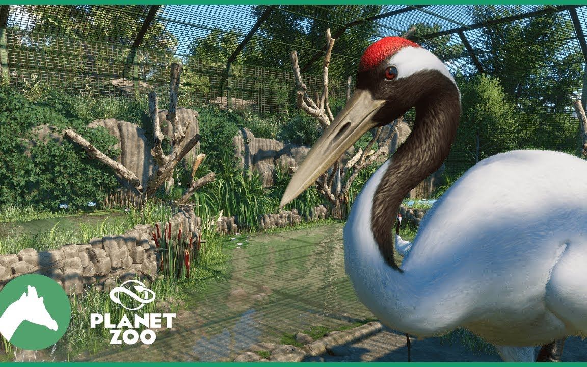 [图]【葡萄吃月饼|搬运】动物园之星 Red-Crowned Crane Aviary | Elm Hill City Zoo by Cesar Creates