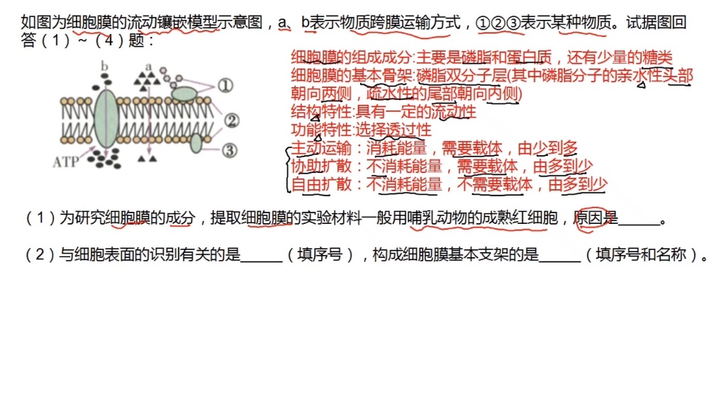 高中生物习题解析——磷脂双分子层打卡第五天哔哩哔哩bilibili