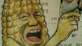 赫鲁晓夫玉米广告视频 哔哩哔哩 つロ干杯 Bilibili