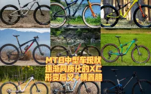 Download Video: MTB中型车现状逐渐同质化的XC形变后叉+横置胆