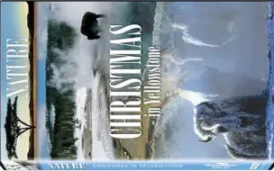 Download Video: 【PBS】自然系列 黄石的圣诞 720P中英文双语字幕 Nature Christmas In Yellowstone