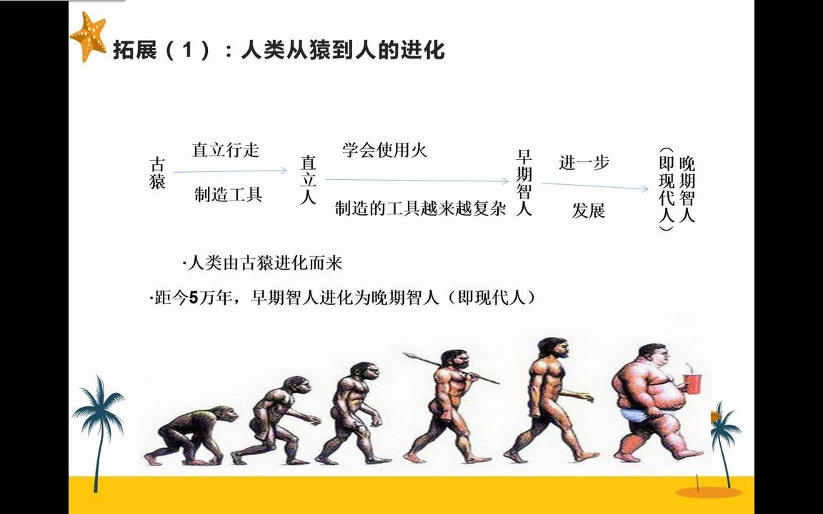 【中国历史七年级上册第一单元】第一课中国境内早期人类的代表—北京人(更加详细的讲解)哔哩哔哩bilibili