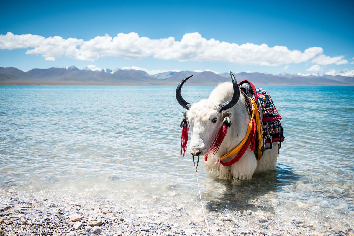 2018年,我想和你去西藏这8个最美的地方!