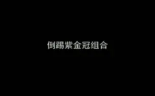 Download Video: 《倒踢紫金冠组合》