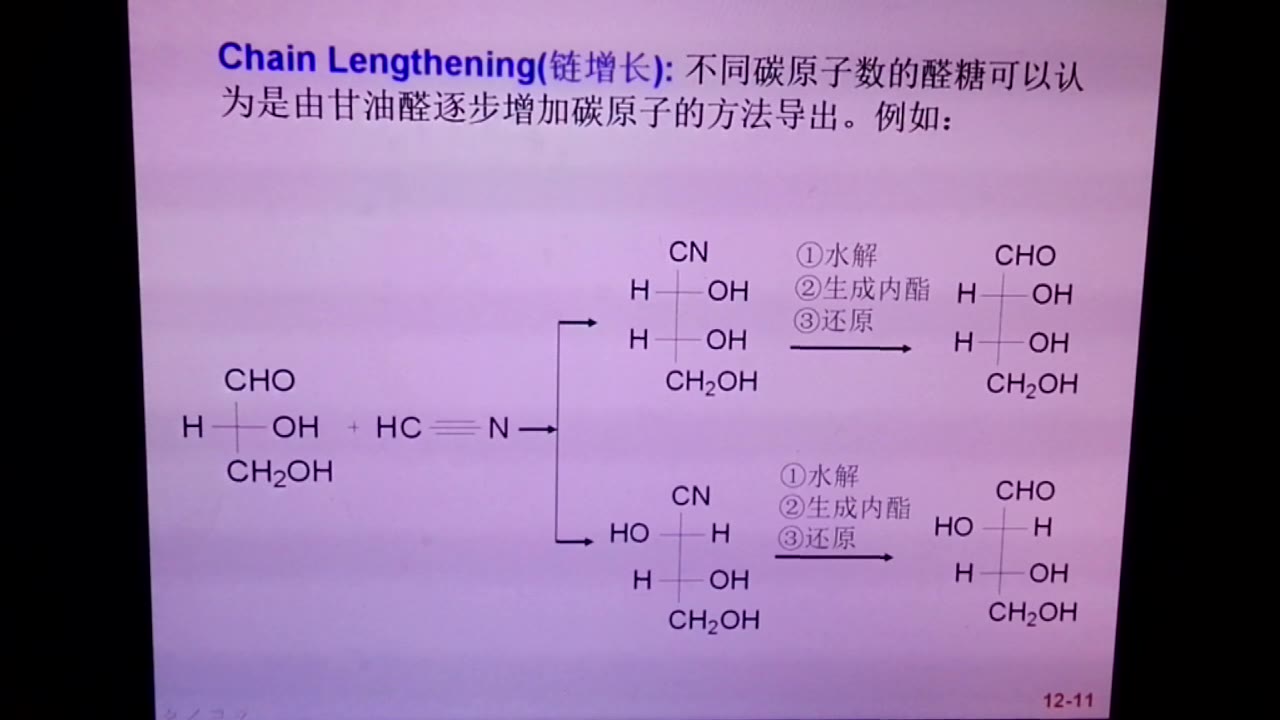 第12章 糖4糖的链增长与异构体哔哩哔哩bilibili