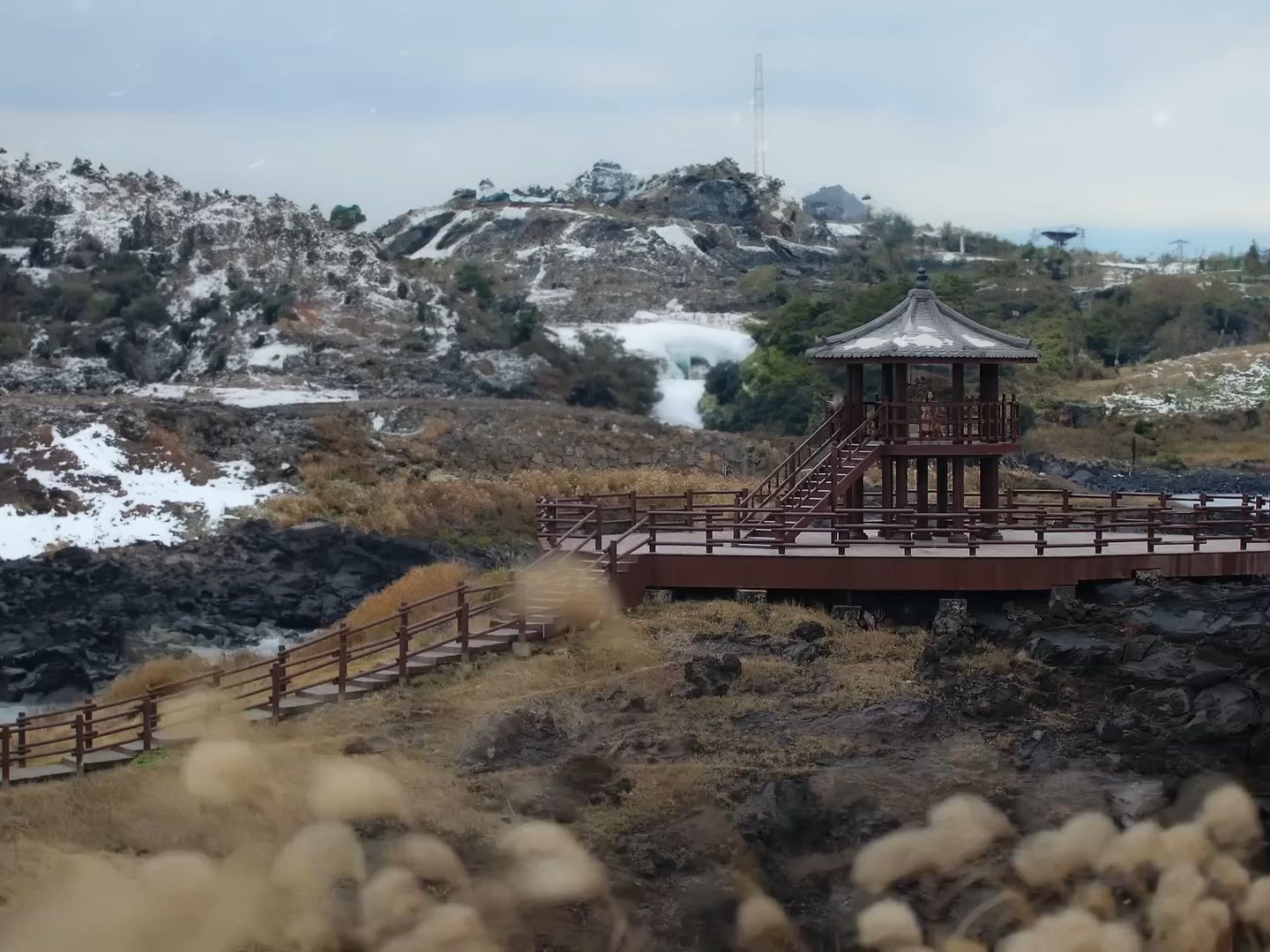 宋切爾大提琴 雪花飛舞中沉思(附目錄)