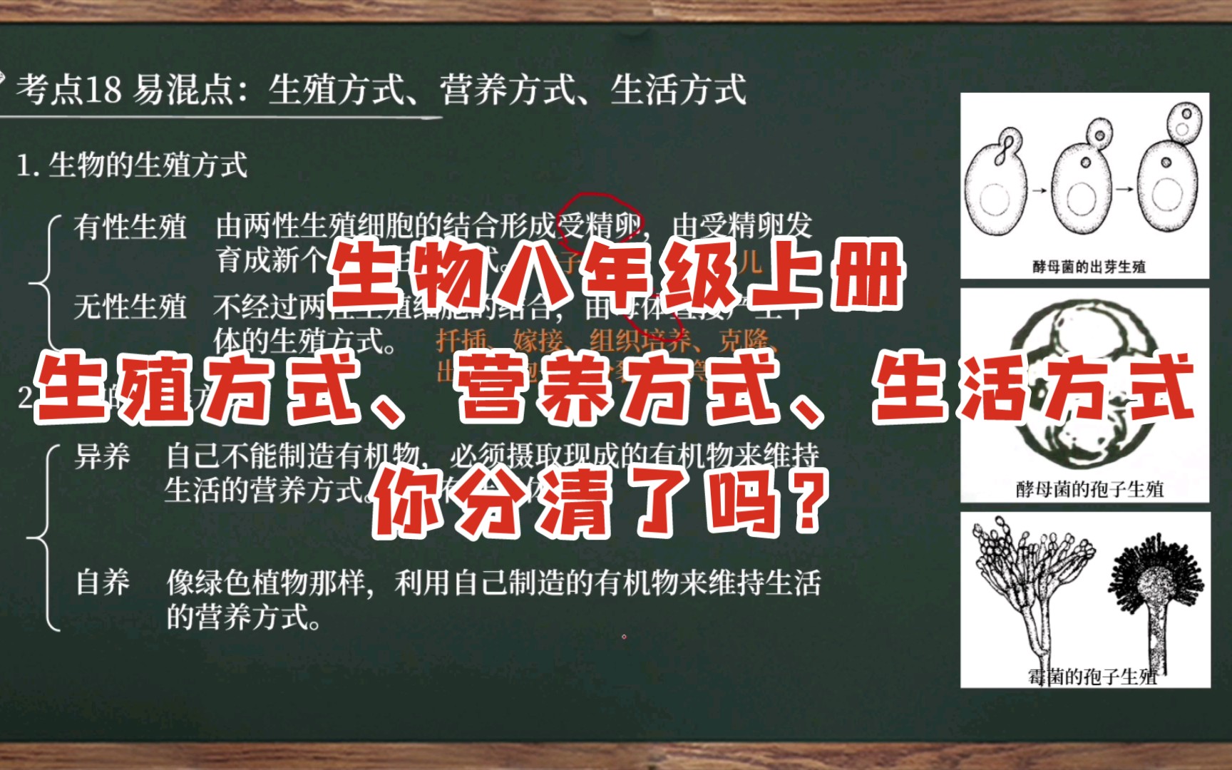 [图]【初中生物全考点讲解|八上】考点18 易混点：生物的生殖方式、营养方式、生活方式