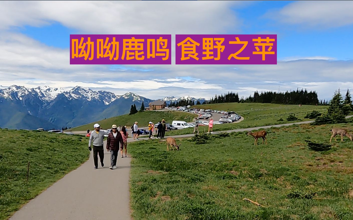 [图]【美国国家公园】奥林匹克 - 1（Hurricane Ridge）