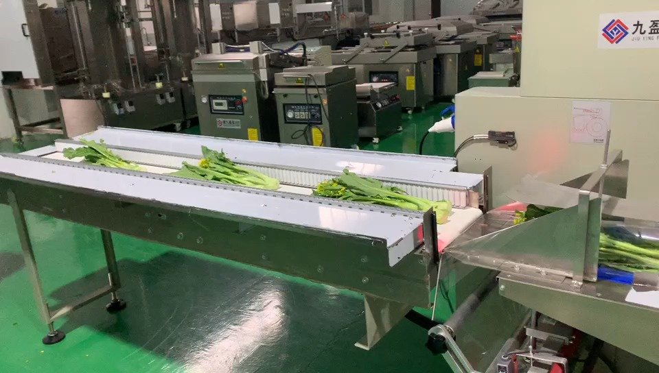 伺服电机下走式枕式包装机,水果蔬菜包装机,超市,电商平台专用包装机