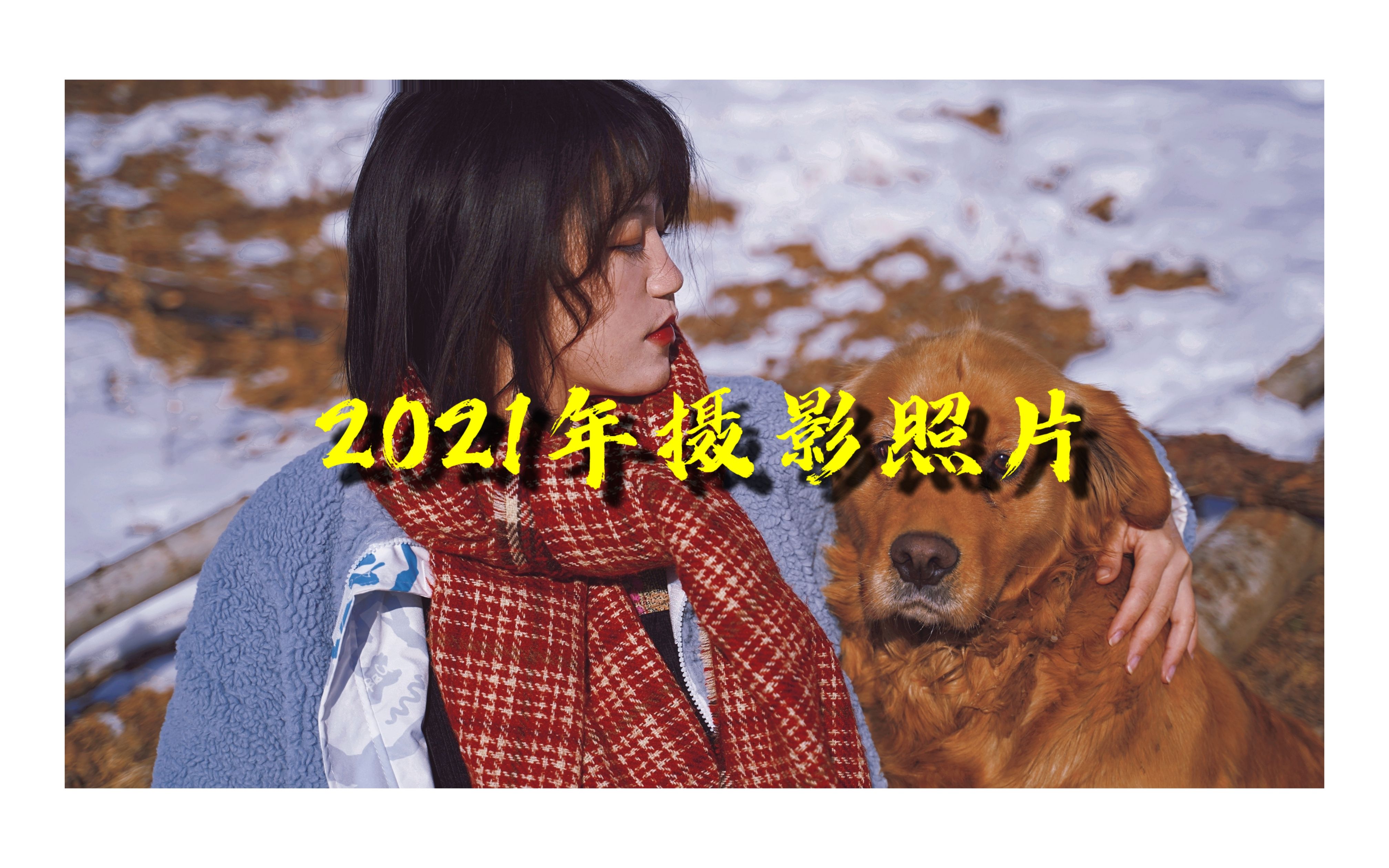 【摄影】2021入手第一部相机 350张照片汇总哔哩哔哩bilibili