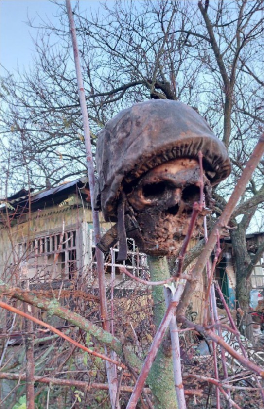 "在俄乌战场上的尸山血海下,埋葬的是无数破碎的灵魂.