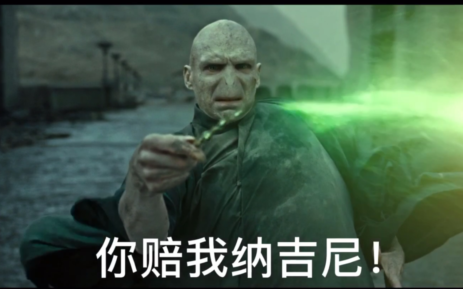 哈利波特燃系108p踩点手机混剪伏地魔你还我纳吉尼