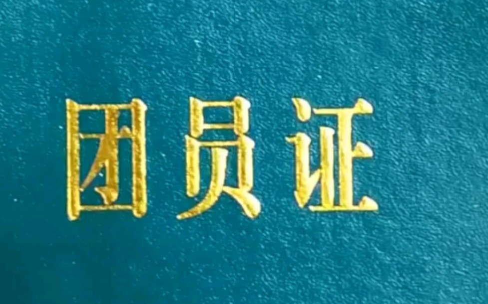 重新介绍一下,我是一名光荣的中国共产主义青年团团员!哔哩哔哩bilibili