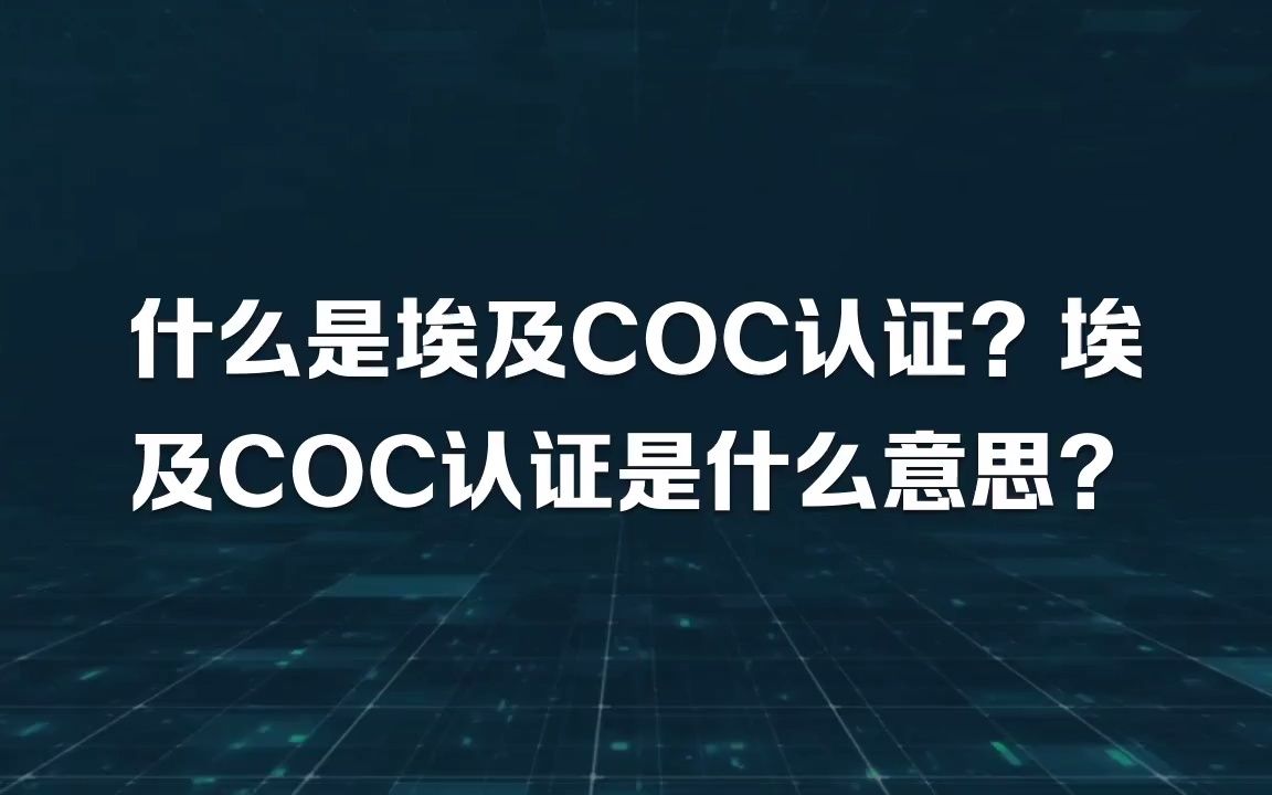 埃及coc认证是什么?什么是埃及coc认证?埃及GOEIC认证是什么?哔哩哔哩bilibili