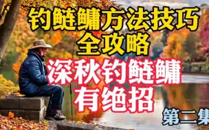 下载视频: 深秋时钓鲢鳙，除了改变钓位饵料线组，还有一个绝招能帮助你