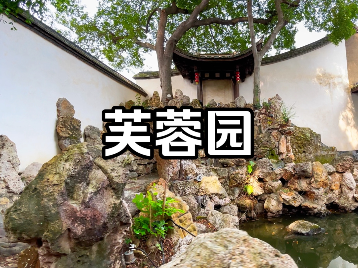 福州四大园林"芙蓉园" 距今700多年,三坊七巷一街之隔的朱紫坊