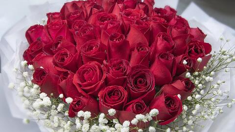 情人节花束包装视频教程 红玫瑰花束包装视频学习 情人节花束 哔哩哔哩 Bilibili