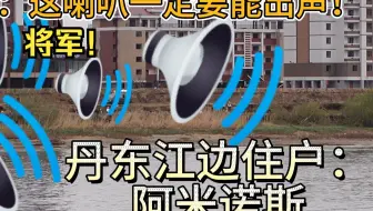 丹东对岸的李春姬大喇叭   原   声   大   碟
