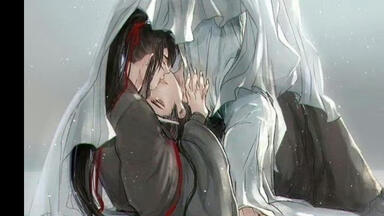 魔道祖師　番外編　特装版　中国版 中国語 小説『魔道祖師 番外集 特装版 《陳情令》 原作小説』著