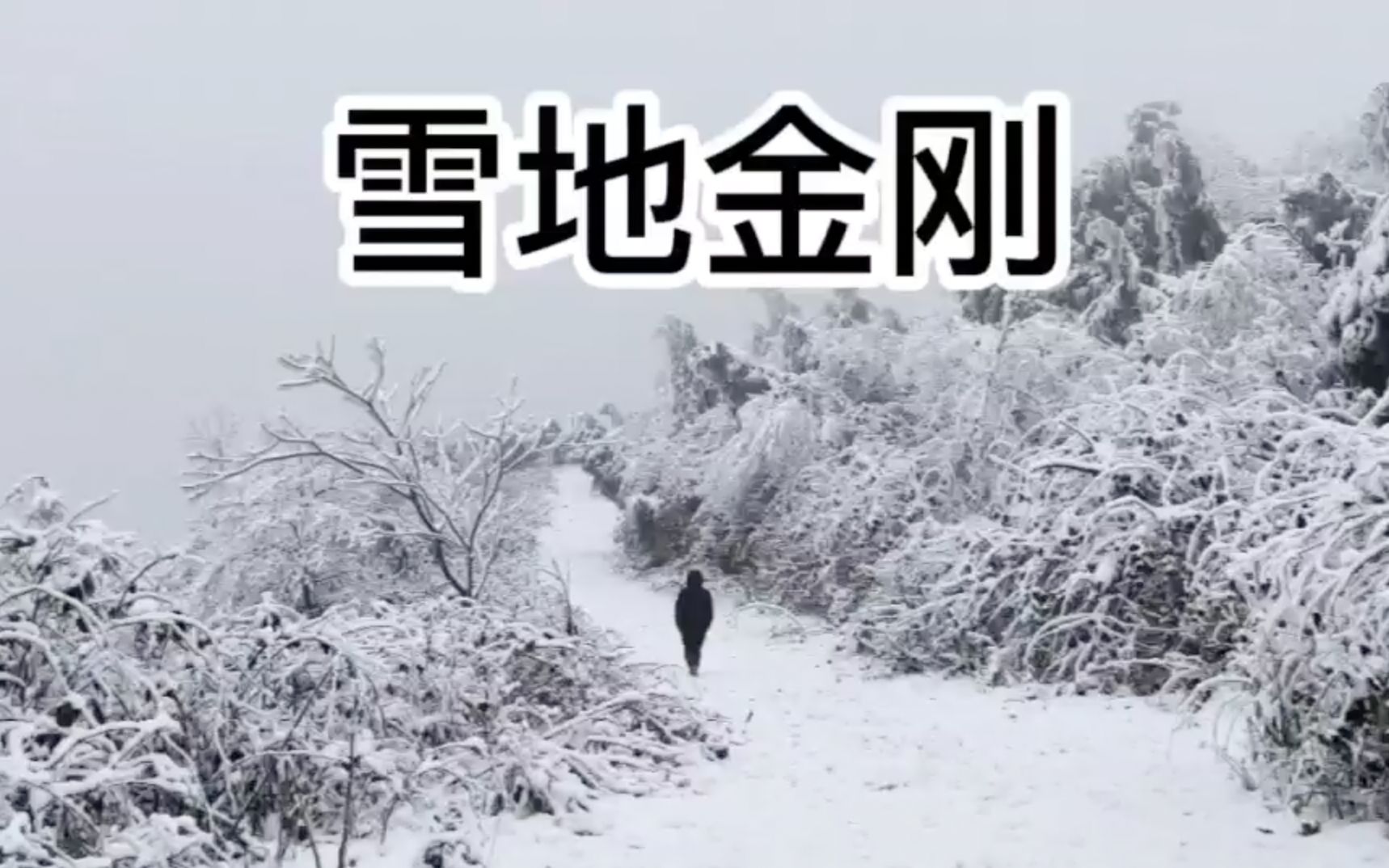 [图]征服雪山迎冬奥！热爱可迎万难