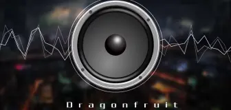 Descargar video: 炸裂音响，超重低音车载音乐，音量调大很爽《Dragonfruit》