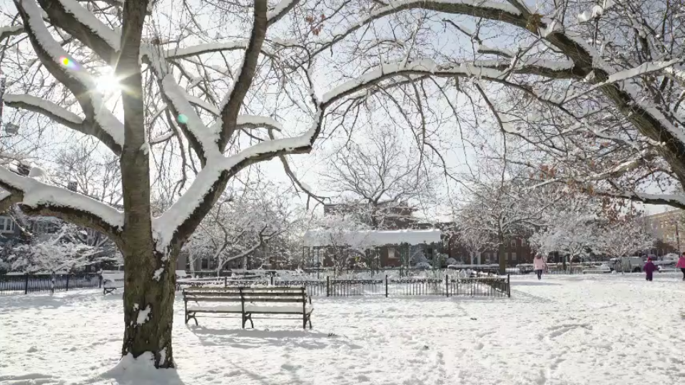 [图]一天一人一首歌（半生雪-叶泽浩）