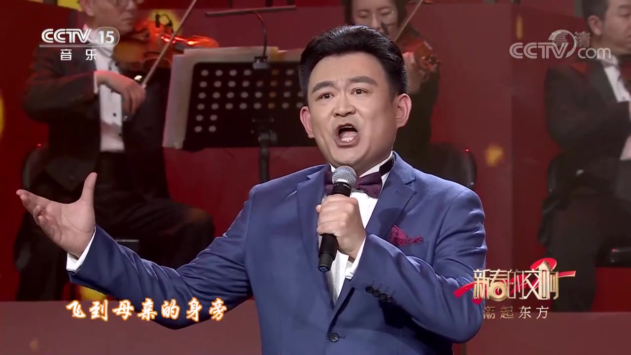 [图][新春的交响]歌曲《飞到你身旁》 演唱：马佳 赵玉龙_中国音乐电视 Music TV