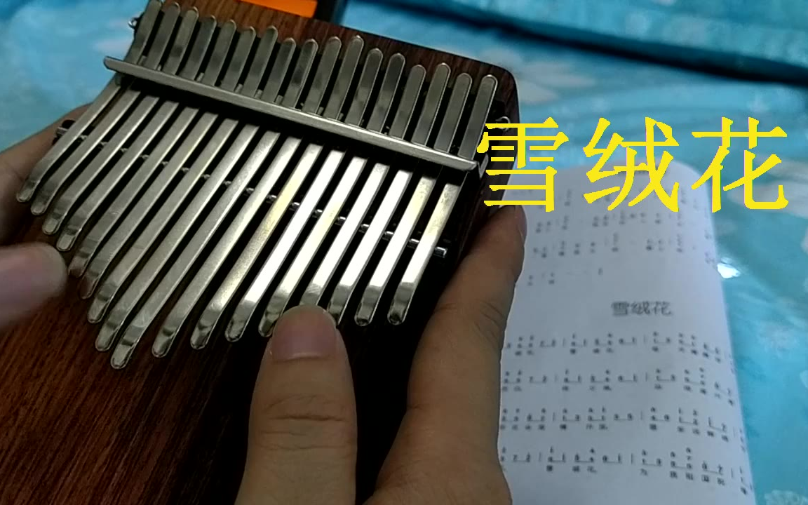 拇指琴初学《雪绒花》学习第三天