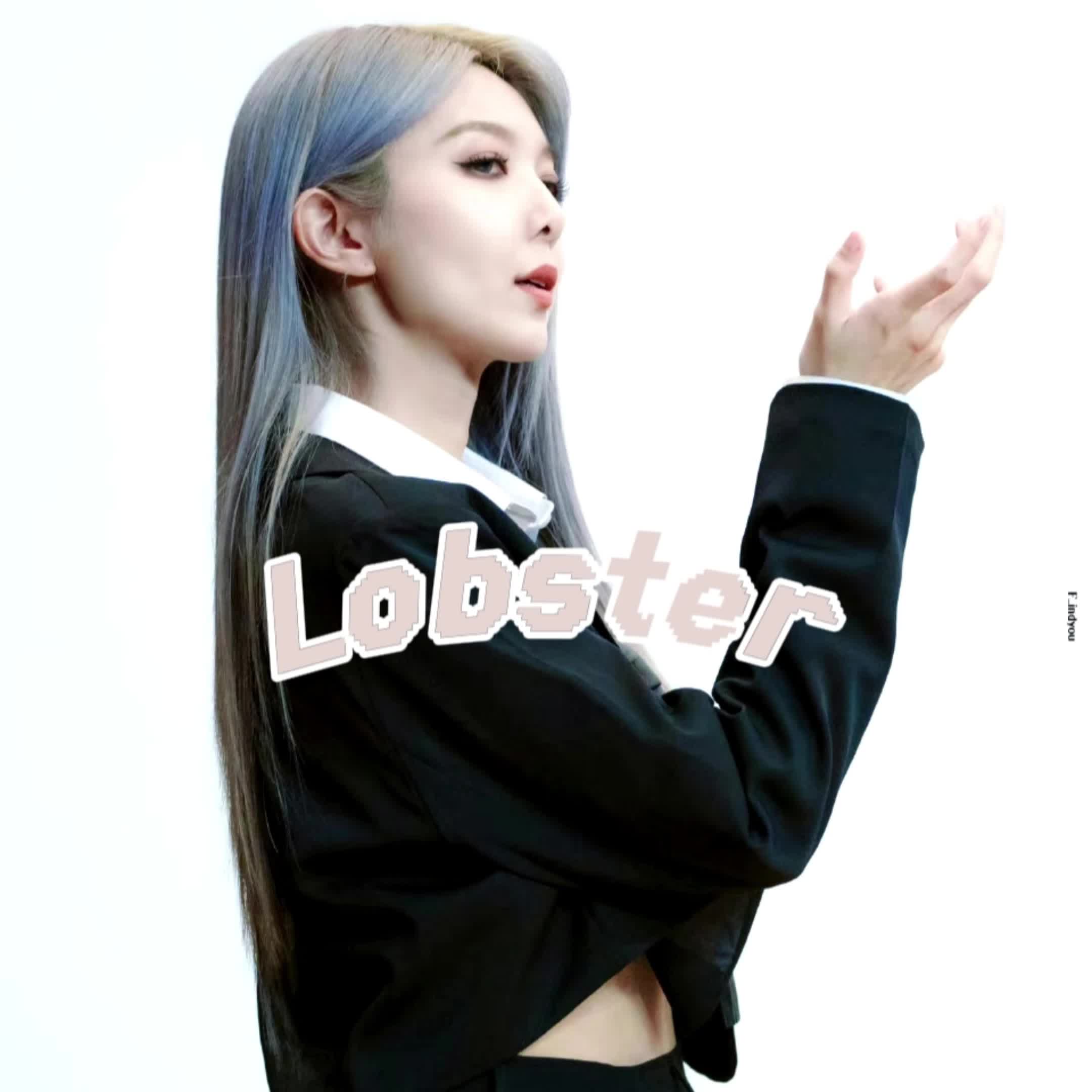 dami李多美 | lobster