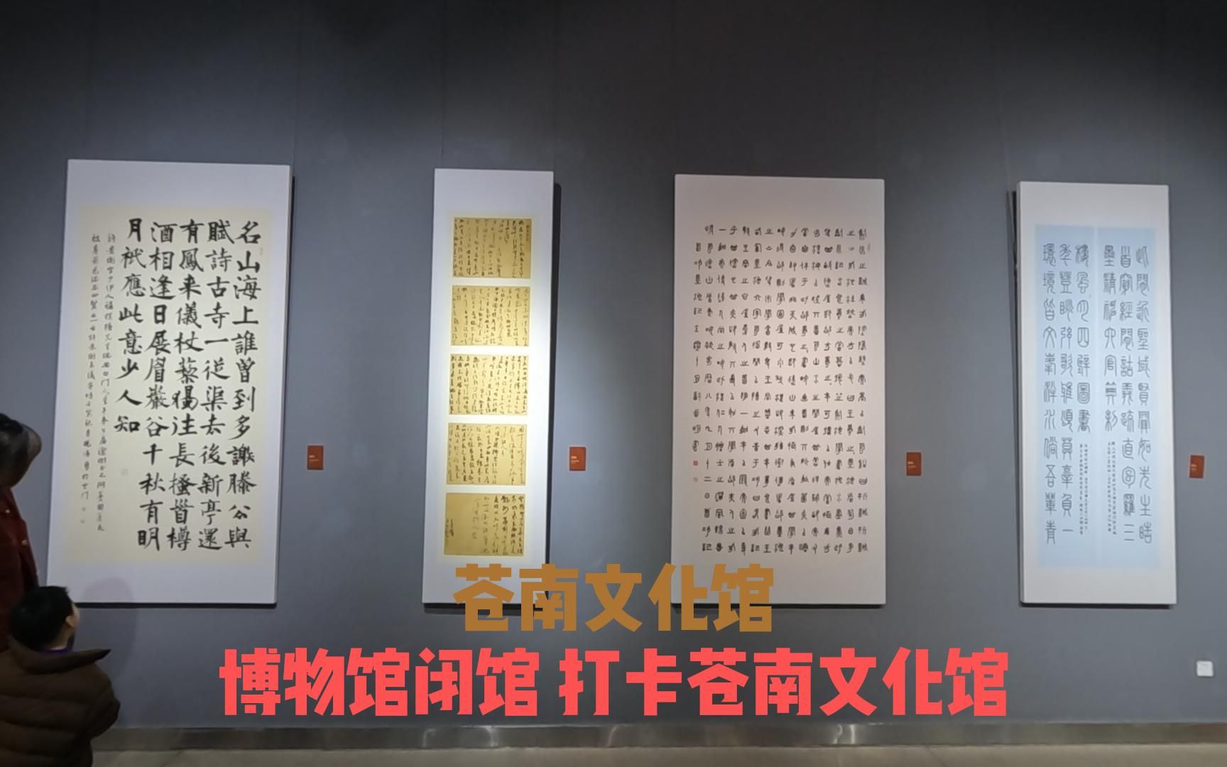 博物馆闭馆转打卡苍南文化馆,书法篆刻作品展,带孩子看展哔哩哔哩bilibili