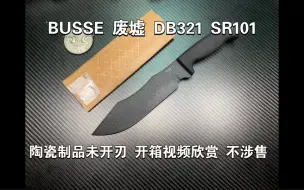 Скачать видео: BUSSE DB321 SR101 极具性价比的一款作品 陶瓷制品未开刃 开箱视频欣赏 不涉售