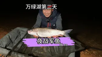 Download Video: 探钓万绿湖，大晚上就来鱼这谁受得了！爆出来极品了！