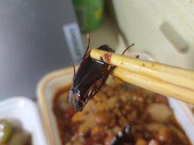 吃蟑螂 B站